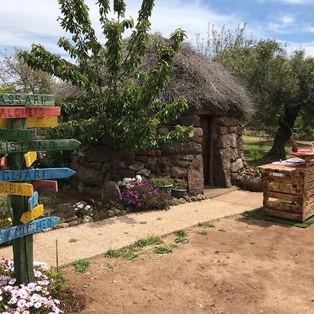Azienda Agricola Affittacamere S'Ispinalba Di Laura Pitzolu Borore Dış mekan fotoğraf