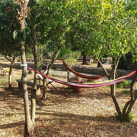 Azienda Agricola Affittacamere S'Ispinalba Di Laura Pitzolu Borore Dış mekan fotoğraf