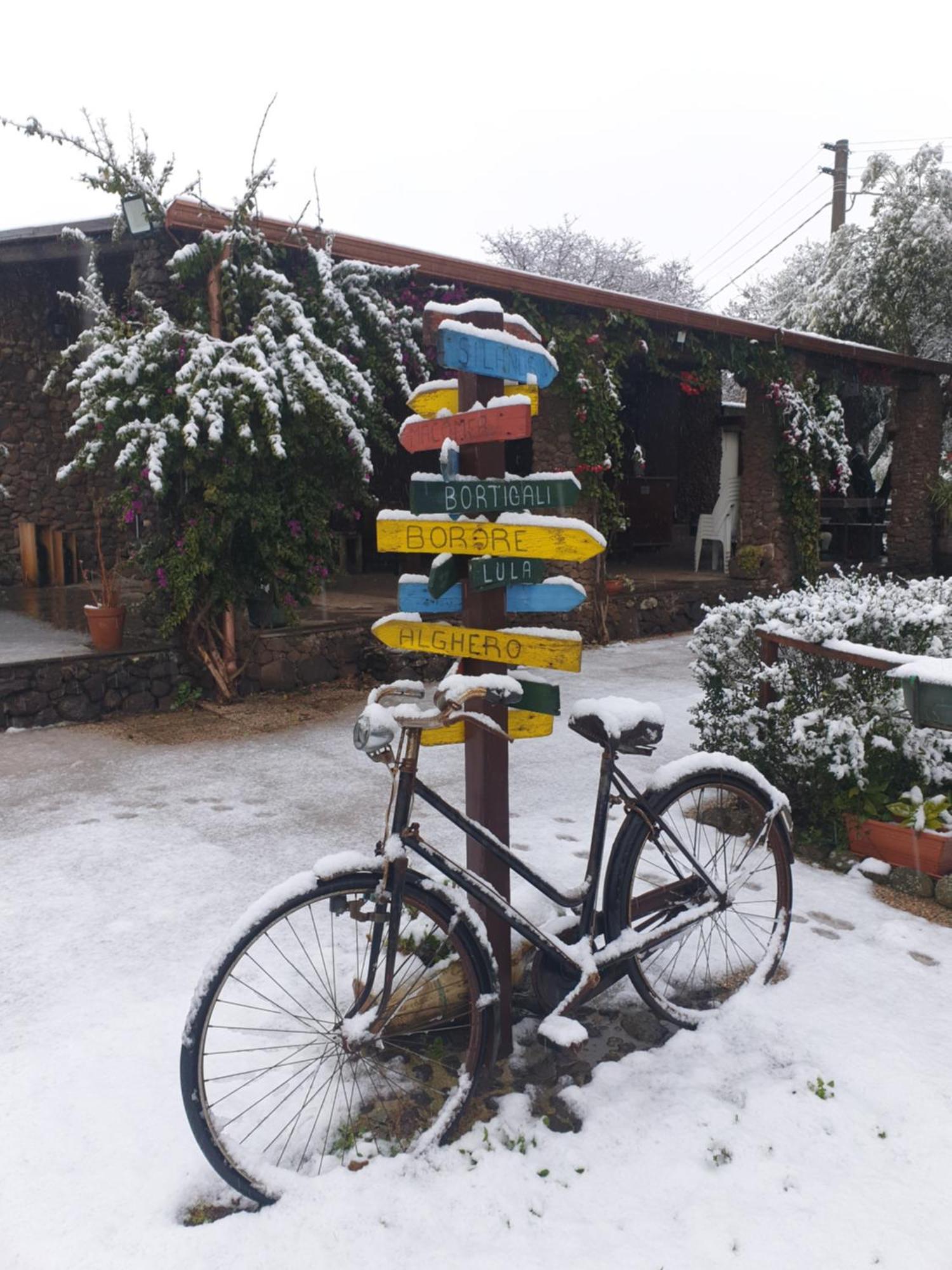 Azienda Agricola Affittacamere S'Ispinalba Di Laura Pitzolu Borore Dış mekan fotoğraf