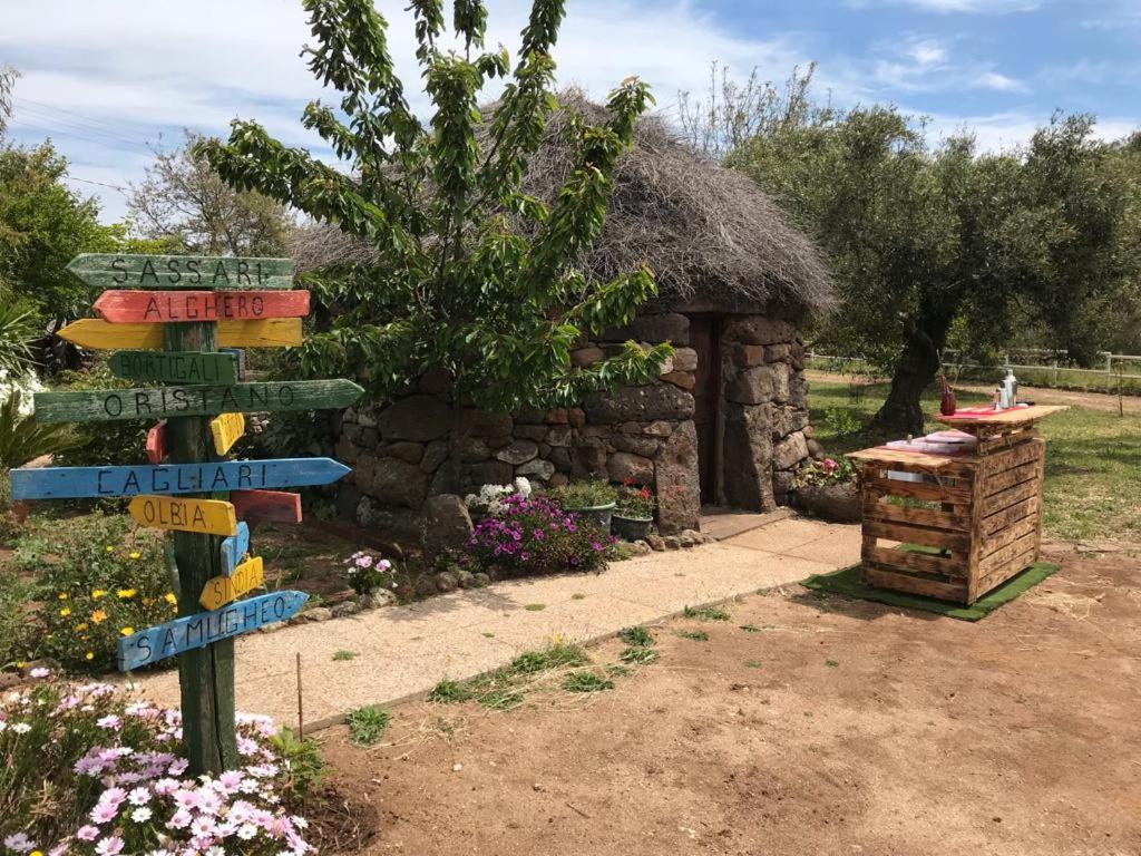Azienda Agricola Affittacamere S'Ispinalba Di Laura Pitzolu Borore Dış mekan fotoğraf