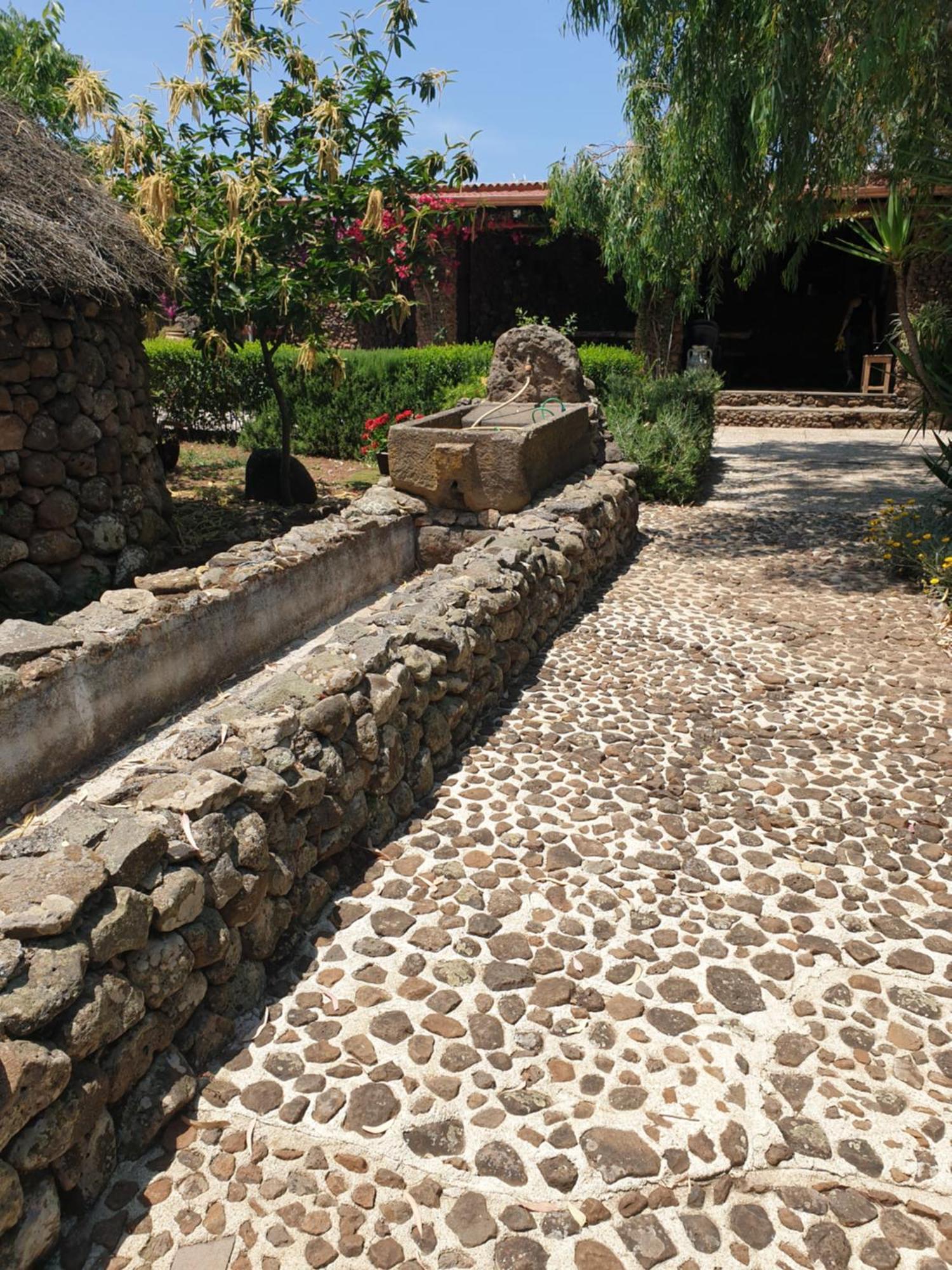 Azienda Agricola Affittacamere S'Ispinalba Di Laura Pitzolu Borore Dış mekan fotoğraf